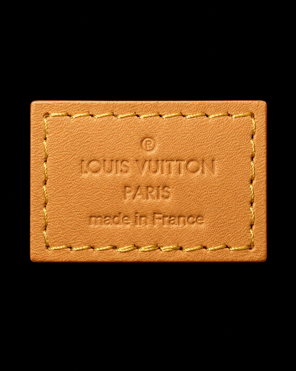 Louis Vuitton Carry All Bag MM